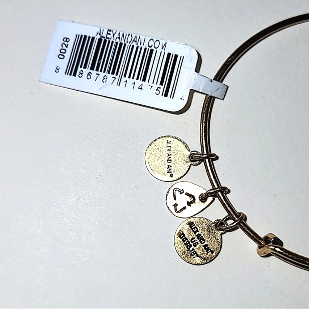 ALEX AND ANI "GRANDDAUGHTER" CHARM BANGLE BRACELET - 2016 - Picture 6 of 7
